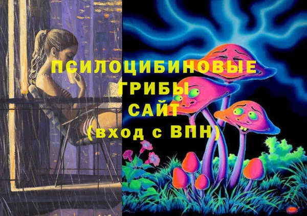 PSILOCYBIN Верея